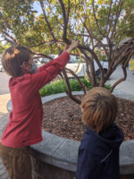 #Ribbons4Assange - @genuslogicae