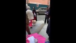 IMG_7190_1 IMG_7190_1