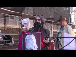 SF Chronicle No Silence On Assange! SF Chronicle No Silence On Assange!